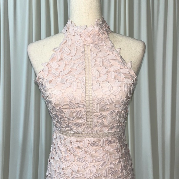 Bardot Gemma Pink Lace Midi Halter Dress - Picture 5 of 9